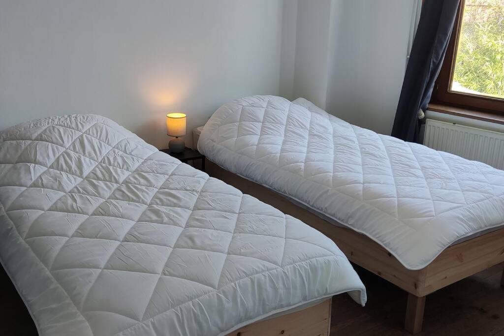 Maison Ronchin/Lille - Proche Toutes Commodites Exteriér fotografie